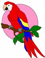macaw stained
                glass pattern